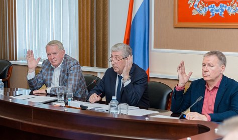 Депутаты дали оценку работе Уполномоченного по правам ребенка
